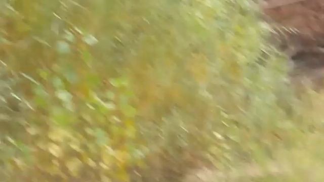 Моя красивая - Автор музыка и и поёт Андрей Шпехт смотреть онлайн