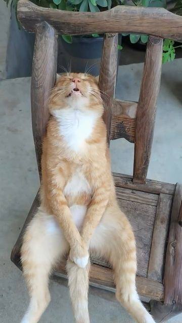 Доброе утро😁 смотреть онлайн