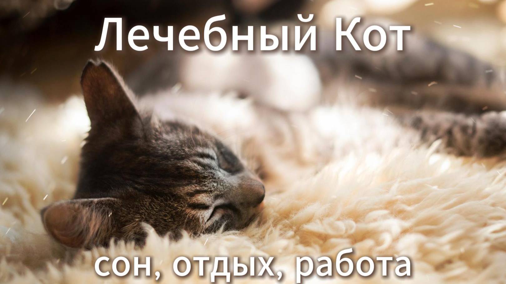 Расслабляющая музыка - Мурчание кота и вибрации от тревоги, бессонницы, напряжения, стресса