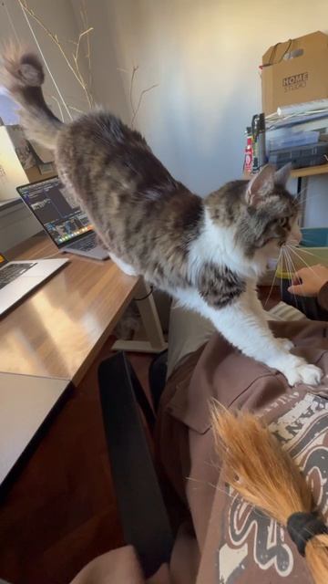 биомассажер