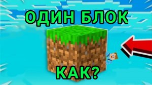 Я создал ОДИН БЛОК на Java edition БЕЗ МОДОВ И КАРТ