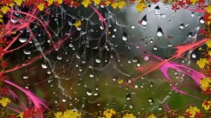 АВГУСТ ШЕПЧЕТ - ОСЕНЬ НА НОСУ...  - Yulevna