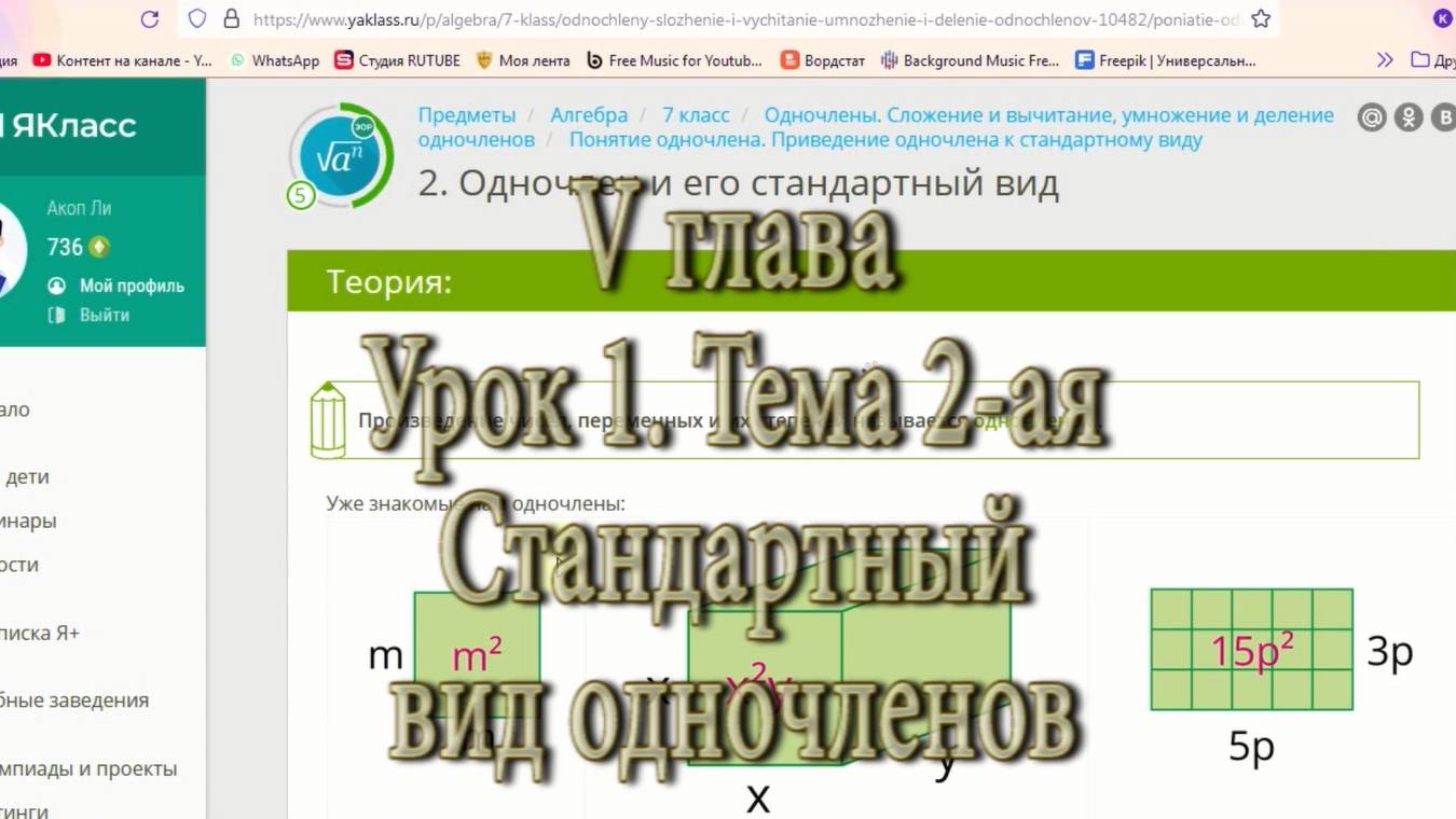 урок  1 тема 2 Стандартный вид (Одночлены)