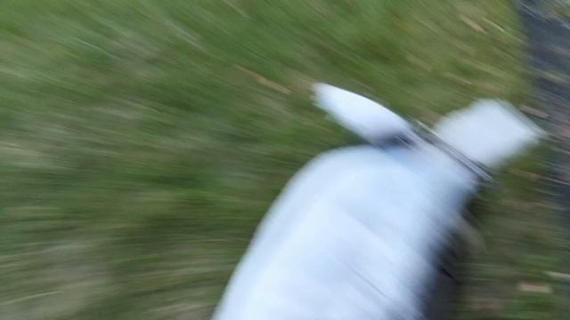 Маленькое видео про хобихорсинг тренировка галоп и шаг.