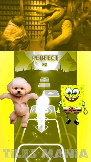 ТРУЛИМЕРО ТРУЛИЧИНА 🆚 ЛА ВАКА САТУРНО САТУРНИТА 🎤🔥 | Tiles Hop Shorts №4