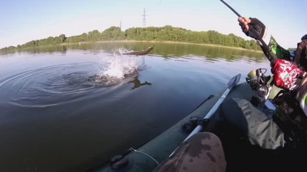 Лучший антидепрессант лета: Наша нелепая рыбалка в июле😂😆🎣🔥
ЛОВИМ ЩУКУ НА ДЖИГ В ЧЕРТЕ ГОРОДА🔥