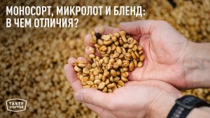 Моносорт, микролот и бленд / Что это такое и в чем отличие?