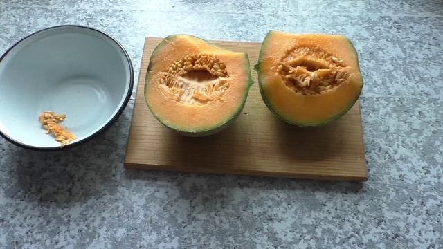 Самая сладкая дыня в этом сезоне