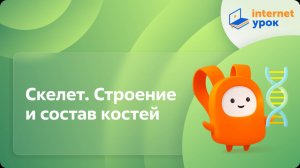 Биология 8 класс. Скелет. Строение и состав костей