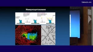 Киреев И.И. - Клеточная биология - 1. Клеточная теория