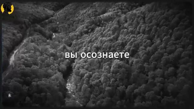 (35 УРОК) Когда ты ведешь себя так, будто она тебе не интересна, она сходит с ума _ СТОИЦИЗМ смотреть онлайн