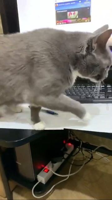 .ПРОВЕРКА!!! ПРОВЕРКА!!! ВЫ ТОЧНО,ТОЧНО ВСЕ ,ВСЕ ЗАДЕКЛАРИРОВАЛИ_ смотреть онлайн