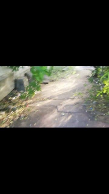 Радио Башка Космос Савеловский ВОКЗАЛ / Radio Bashka / Shorts смотреть онлайн