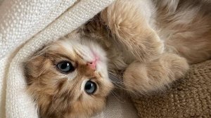 Доброе утро - Начни день с красоты! Открытки с пожеланиями на утро 🌞