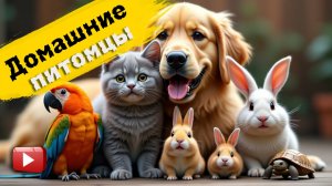 Домашние питомцы| Животные любимцы | изучаем домашних питомцев