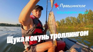 ОКУНЬ И ЩУКА ТРОЛЛИНГОМ | ПРАВДИНСКОЕ ВОДОХРАНИЛИЩЕ