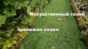 Искусственный газон между грядками. Как изменился за сезон