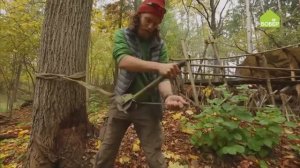 КАК ПОВАЛИТЬ ДЕРЕВО при помощи лебёдки. Валим сухостой в нужном направлении. Советы