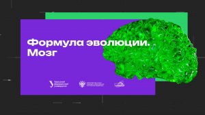 Формула эволюции. Мозг