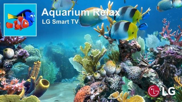 Aquarium Relax смотреть онлайн