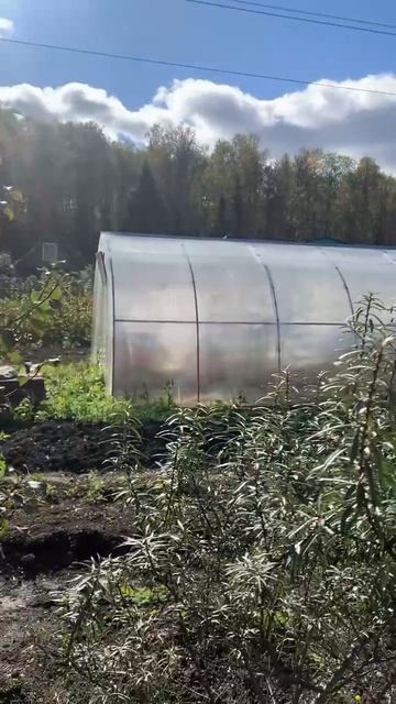 СНТ Ремонтник смотреть онлайн