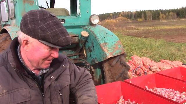 МЕХАНИЗИРОВАННАЯ ПОСАДКА ЧЕСНОКА ТРАКТОРОМ Т40 смотреть онлайн