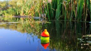 ЛОВЛЯ ЩУКИ НА ЖИВЦА. ОТКРЫТИЕ СЕЗОНА