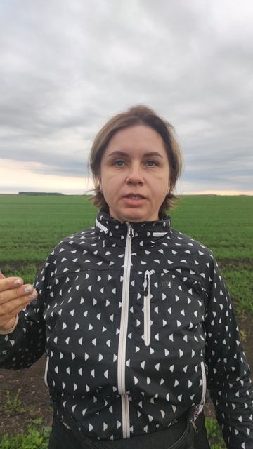 Отзыв Ольги о репетиторе по русскому языку