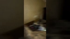 Валера Фристайла и Тётя Вера прелесть