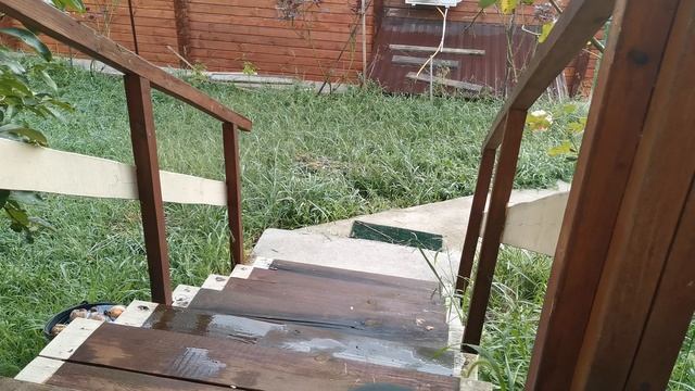 СОЧИ ГОРНОЕ ЛОО УТРО 11.09.2025 смотреть онлайн