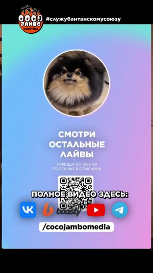 Трансляция Тэхена уже на моем канале🔥