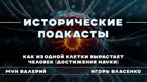 Как из одной клетки вырастает человек