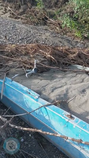 НАХОДКА НА БЕРЕГУ РЕКИ В ТАЙГЕ