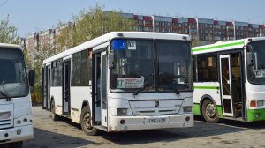 Автобус НефАЗ-5299-10-33 (А 996 СЕ 22). Покатушки по пригороду Барнаула.