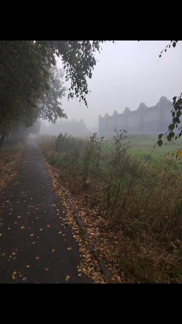 Туман.mp4 смотреть онлайн