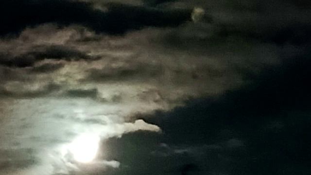 Спокойная ночь 11 (осень-2024) смотреть онлайн