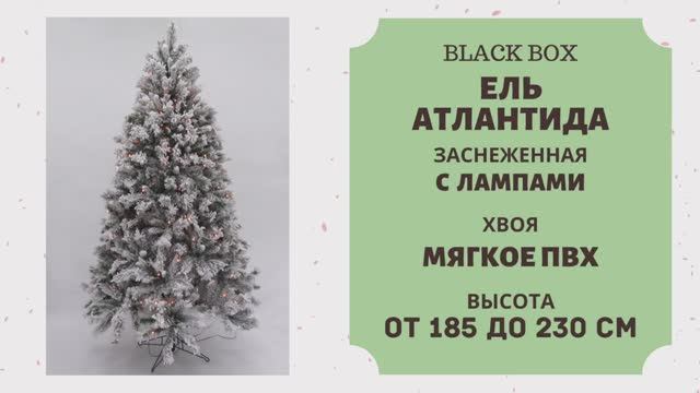 Black Box - ОБЗОР искусственной ели Атлантида заснеженная с лампами смотреть онлайн