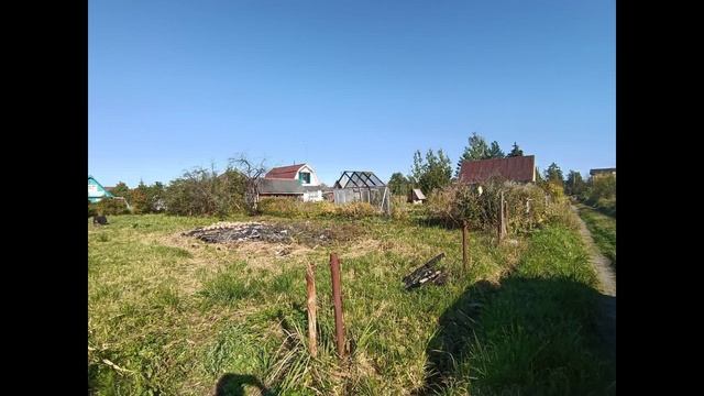 9818199 смотреть онлайн