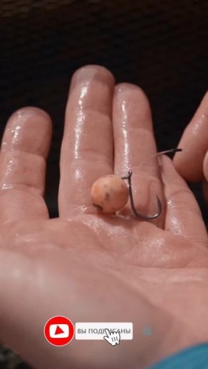 А КАКОЙ У ВАС КРЮЧОК?