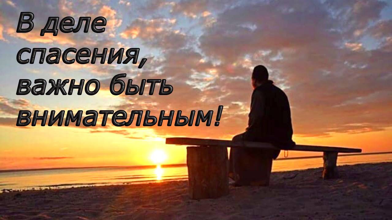 В деле спасения, важно быть внимательным! смотреть онлайн