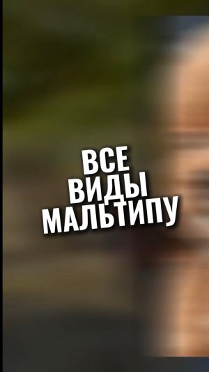 🎁Бесплатные уроки. Жми сюда!