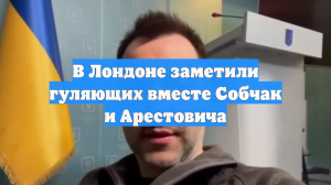 В Лондоне заметили гуляющих вместе Собчак и Арестовича