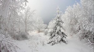 ГЕОРГИЙ СВИРИДОВ РОМАНС СЮИТА МЕТЕЛЬ