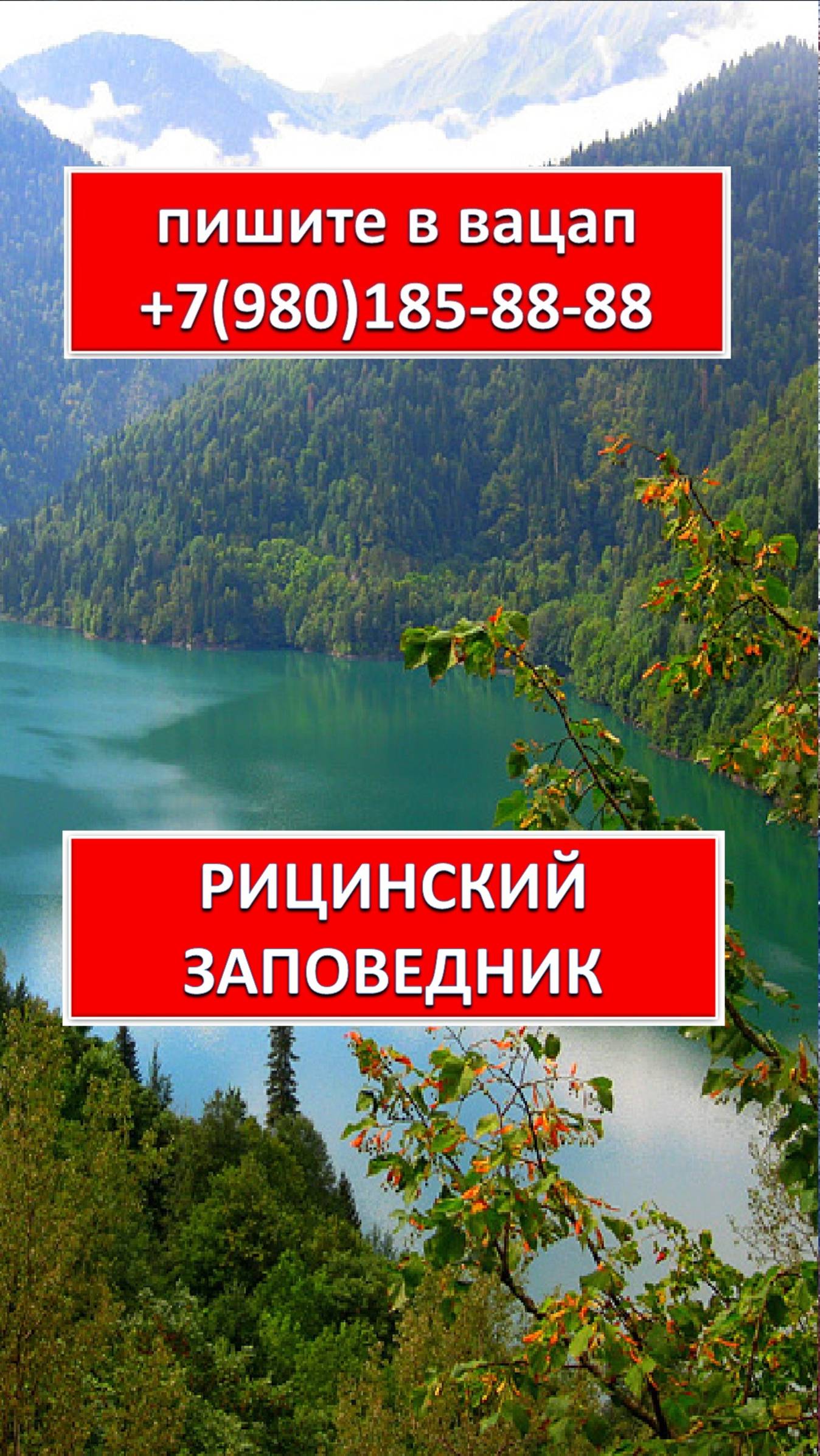 РИЦИНСКИЙ ЗАПОВЕДНИК