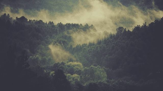 HzBas Гио Пика Владикавказ remix от HzBas смотреть онлайн