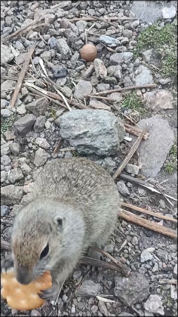 Долина сусликов, по дороге на водопад Каракая Су.