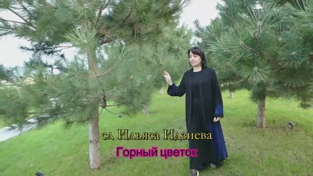 Наида Гасанова .Горный цветок. смотреть онлайн