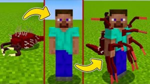 ЗАРАЗИЛ СТИВА ЧЕРВЕМ В МАЙНКРАФТ Minecraft Parasites Mod