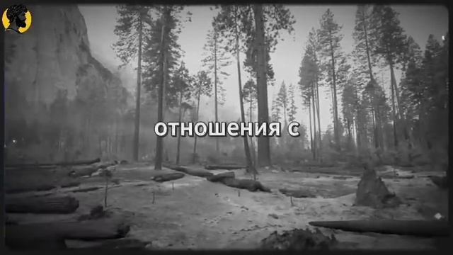 (39 УРОК) 8 фраз женщин, которые намекают на их прошлое _ СТОИЦИЗМ смотреть онлайн