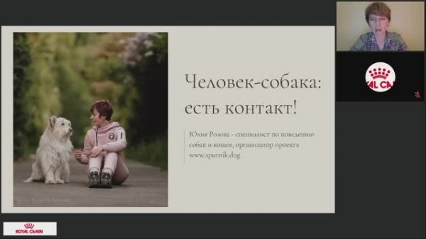 Человек-собака есть контакт